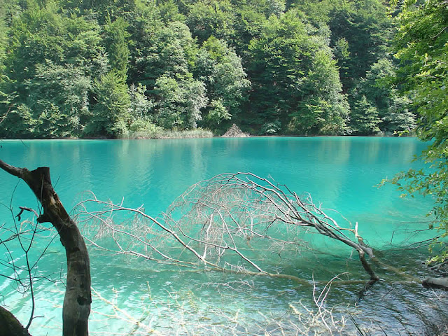 بحيرات بليتفيتش بارك في كرواتيا Lacs-Plitvice-3