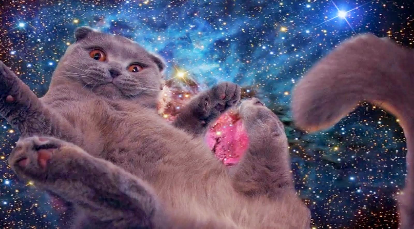 Yung Space Cat