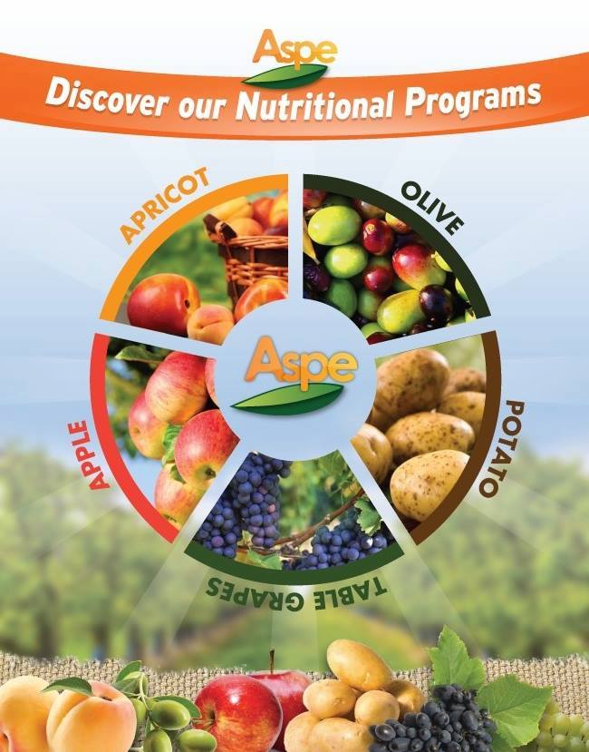 Pistachio Nutrition Program Aspe Agrobiologico