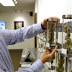 Court Rules that Insurance Company Must Cover Medical Cannabis Treatment
