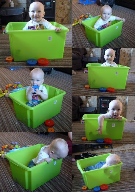 Whoopidooings: Fun with a box