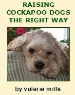 Raising Cockapoo Dogs