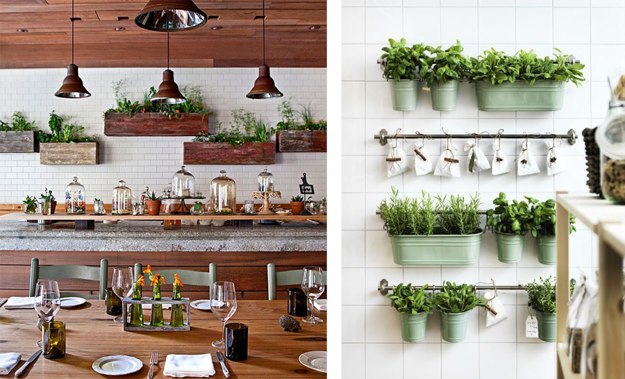 décoration cuisine plantes aromatiques