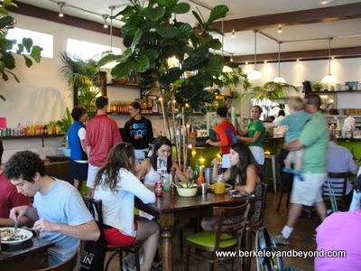 interior of Sol Food at 901 Lincoln Ave. in San Rafael, California interior of Sol Food at 901 Lincoln Ave. in San Rafael, California