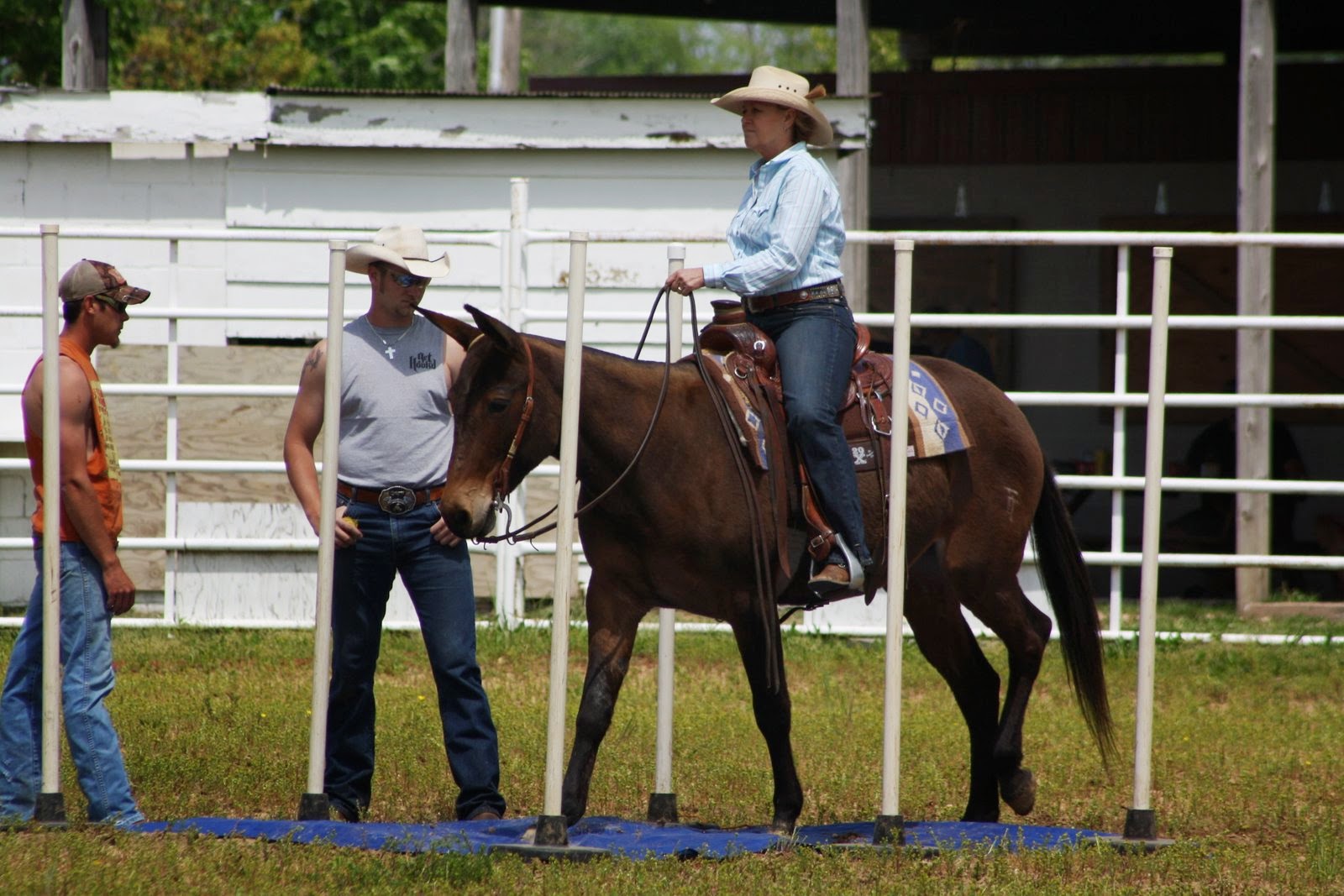 PairADice Mules: Trail Class at Cuba Mule Show
