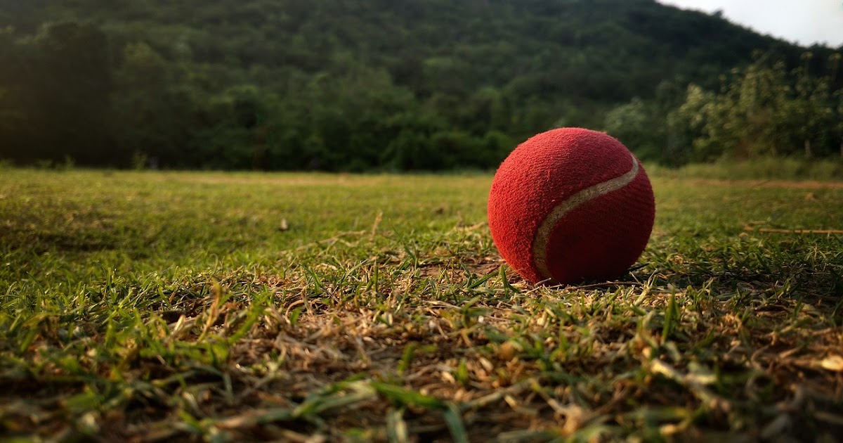 How to tape a tennis ball for cricket(যেভাবে টেনিস বলে টেপ মোড়াবেন)
