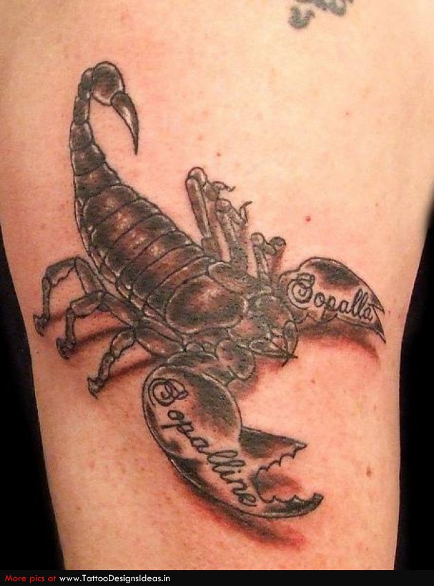3D Scorpion Tattoo Designs Tattoo Designs 