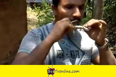 Man eating lizard