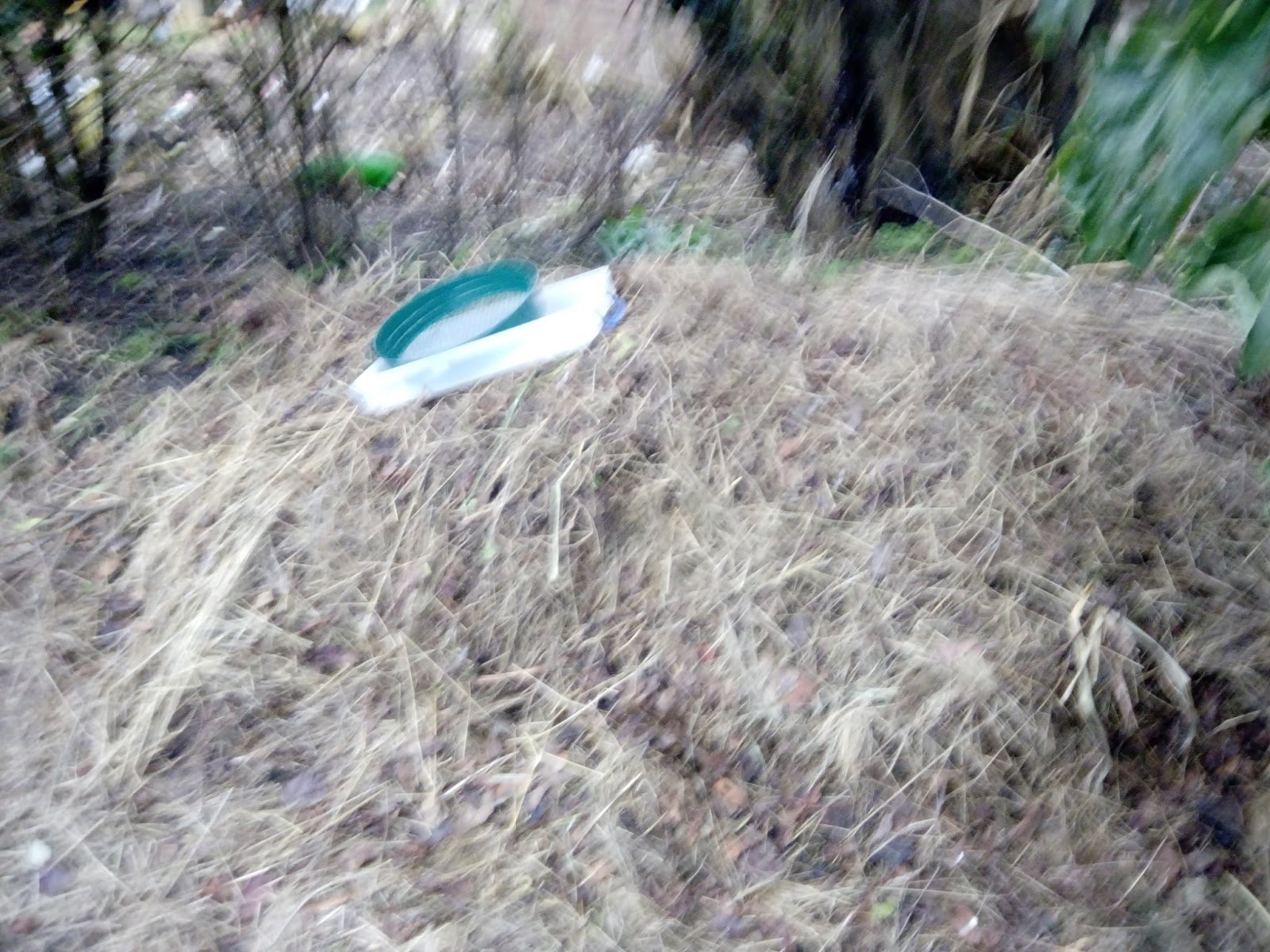 1000 for 1KSQ Garden grass litter pile