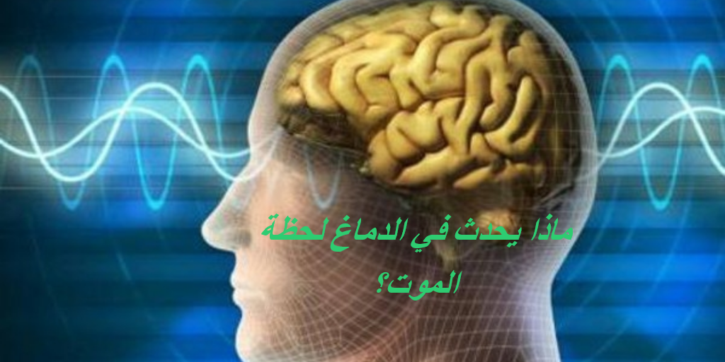 ماذا يحدث في الدماغ لحظة الموت؟ 