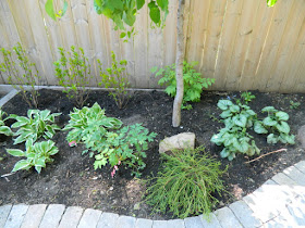 Toronto Cabbagetown garden makeover after Paul Jung Gardening Services