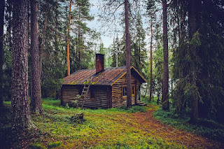 Log Home in the woods