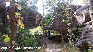 Bhimbetka, The Rock Shelters