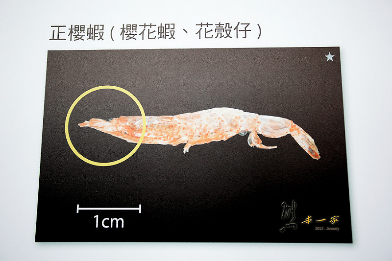 福灣莊園環境|黑鮪魚故事館