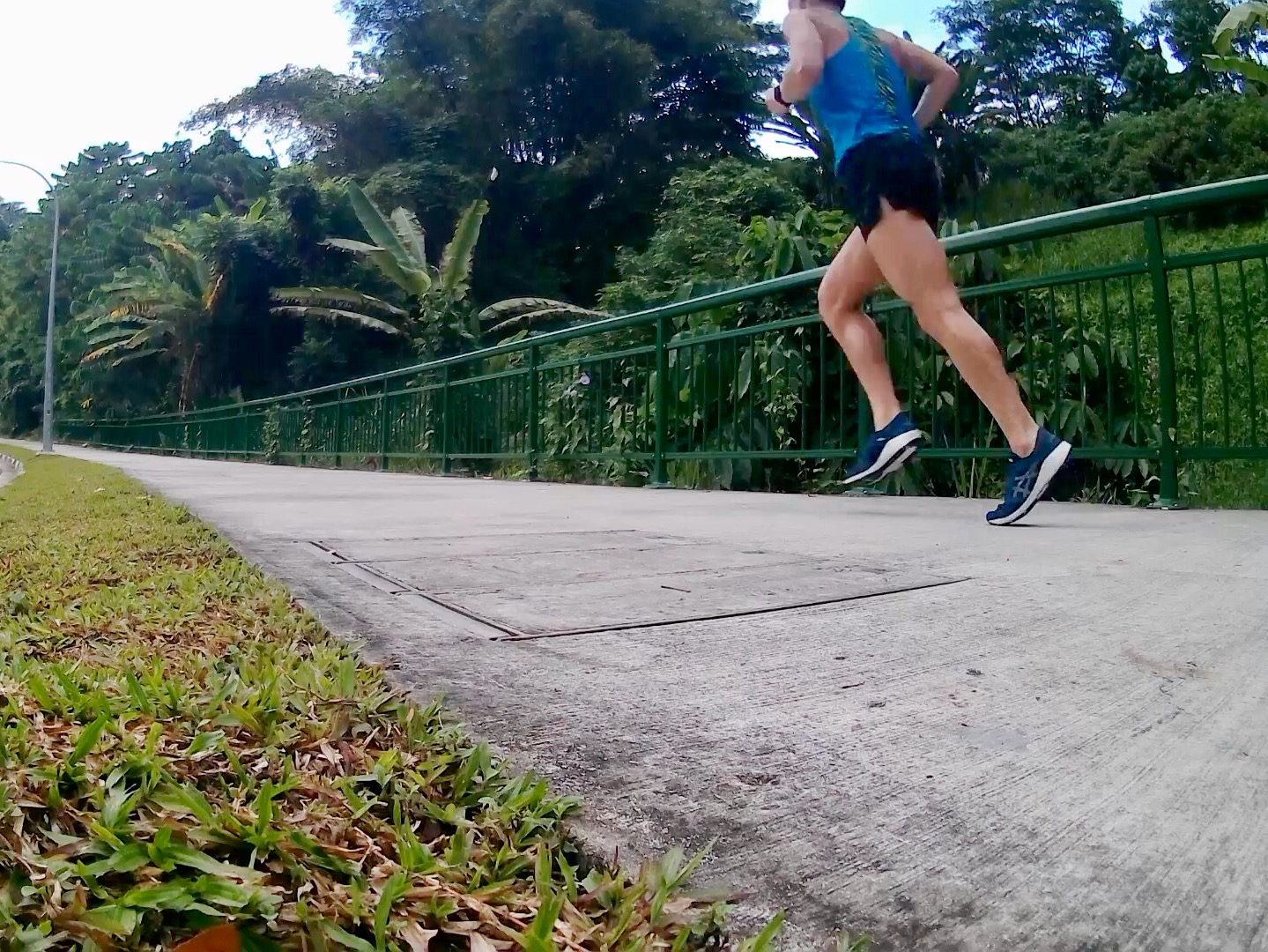 roadhawk ff 2 review