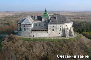 Олеський замок - вид з висоти Вид з повітря на замок в Олеську