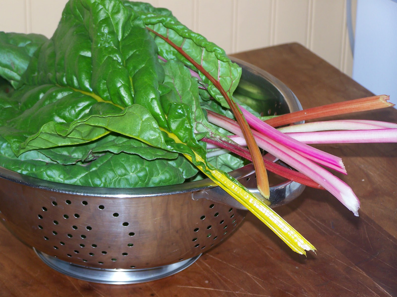 Captive Roots First Swiss Chard Harvest!
