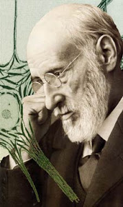Santiago Ramón y Cajal, médico español: