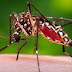 Sintomas do Zika Vírus