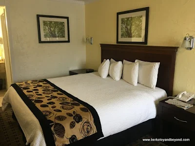 guest room at Baechtel Creek Inn and Spa in Willits, California