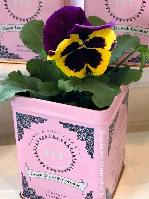 Recycled Tin Flower Pots With Pansy Flowers