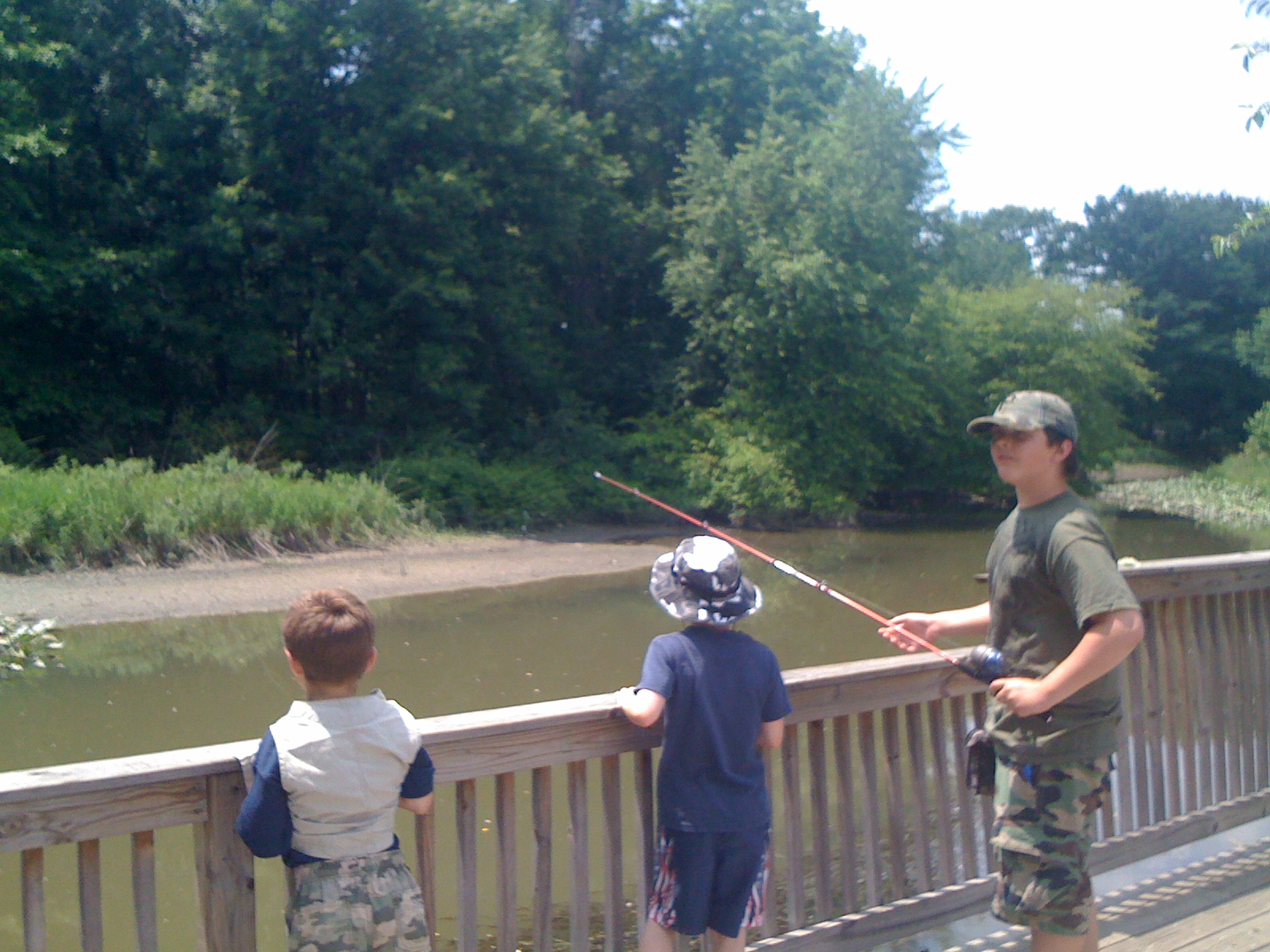 Life in Niles Kennedy Park Fishing spot