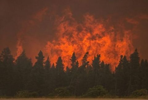 Συναγερμός: Καίγεται μεγάλο δάσος της Κρήτης!