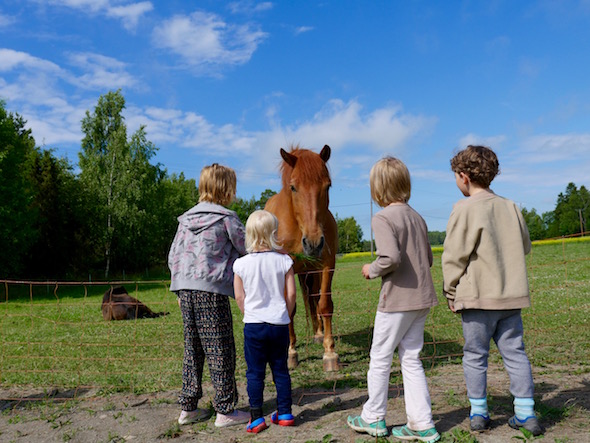 Suihkuta musta kukko