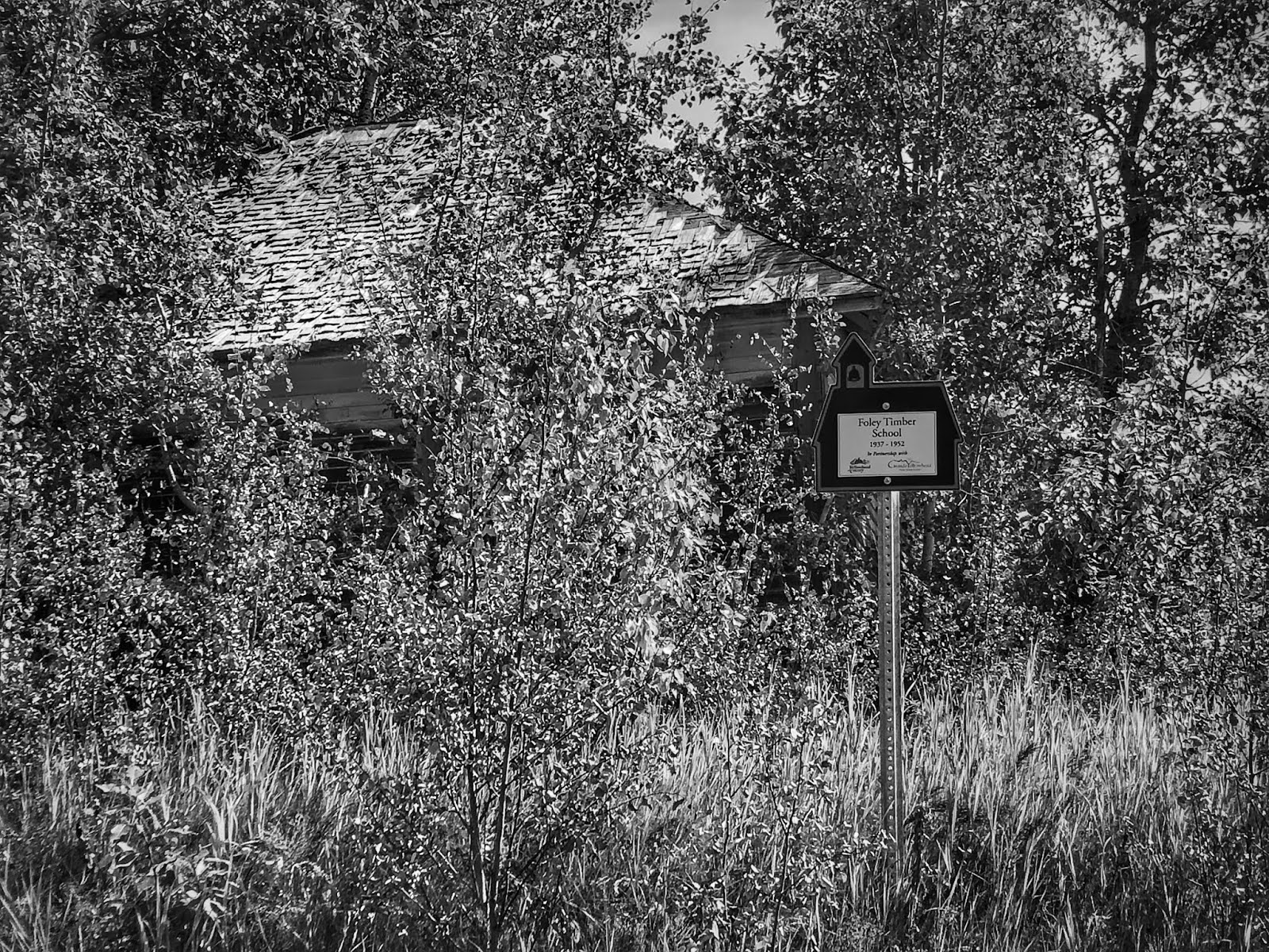 West of the 5th Foley or Follie Timber School