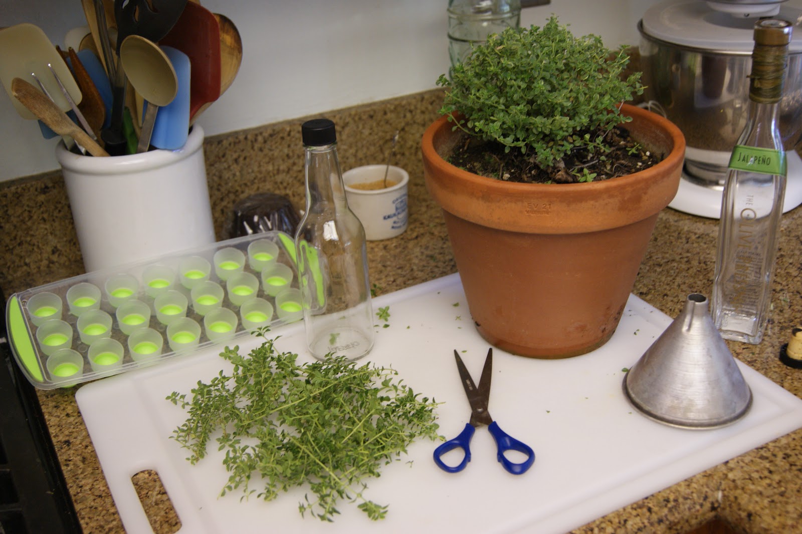 Canarella Tarragon Herb Vinegar
