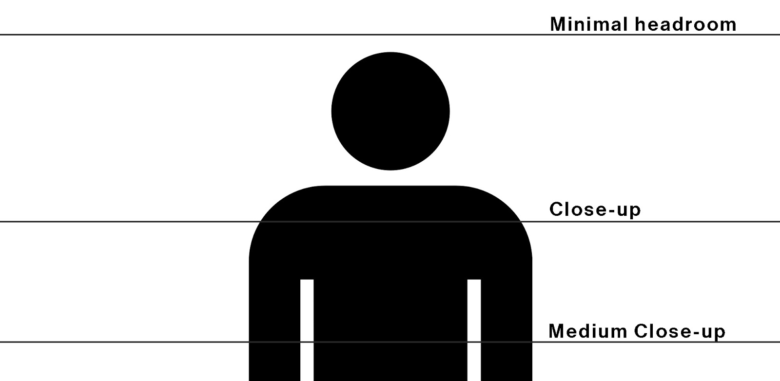 standard shot size