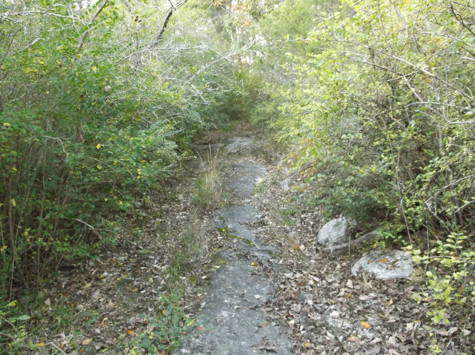 HAUNTED ECLIPSE BLYTHE FERRY & CHEROKEE TRAIL OF TEARS