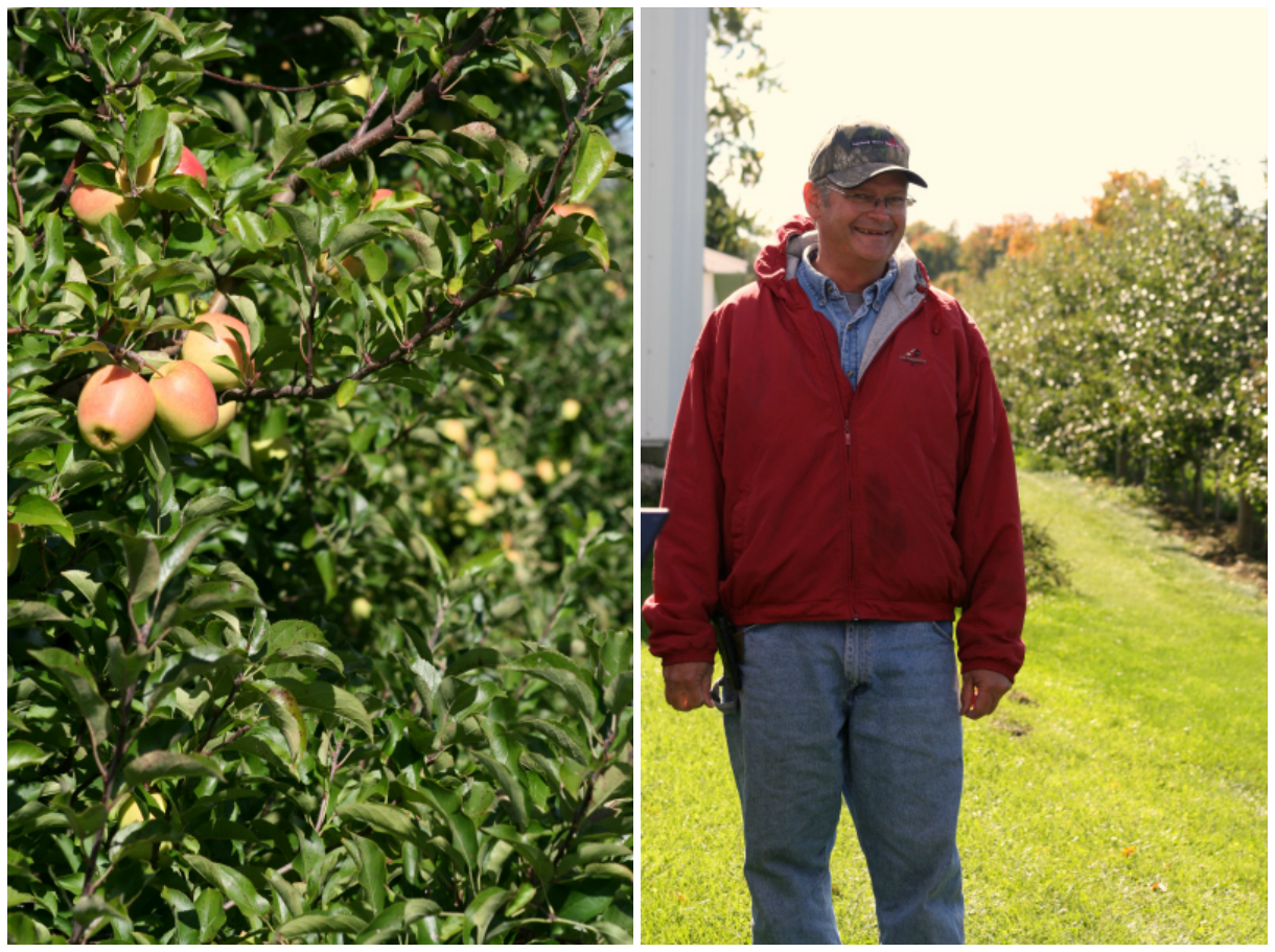 Fruit and Family on the Ridge: Youngquist Farms #MichiganApples