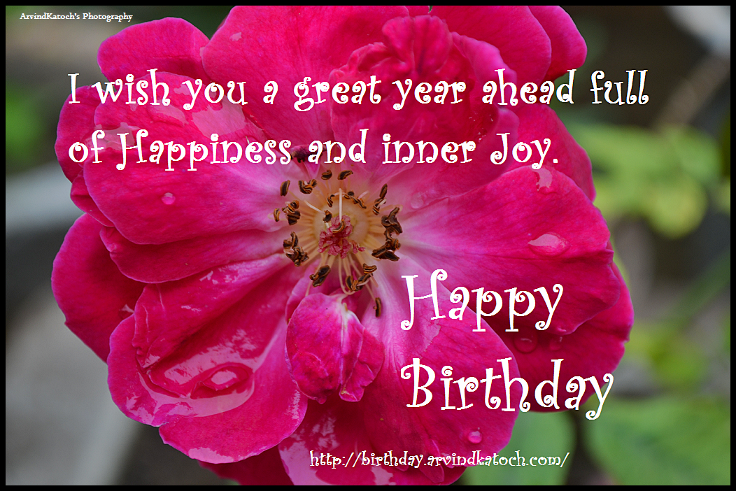True Picture HD Birthday Cards : I Wish You a Great Year Ahead (Happy