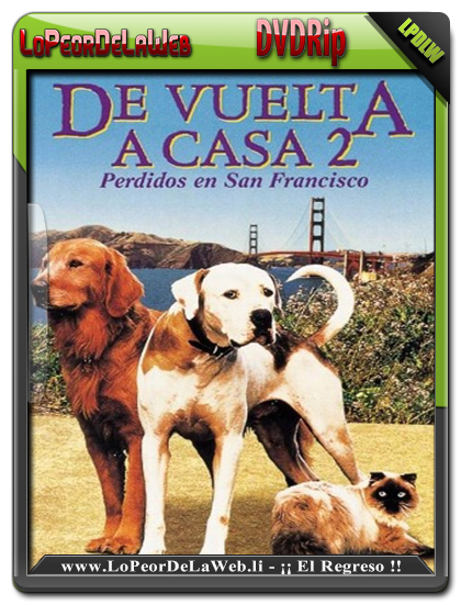 De Vuelta a Casa 2 (1996) DVDRip Latino
