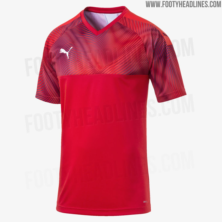 puma cup goalkeeper jersey