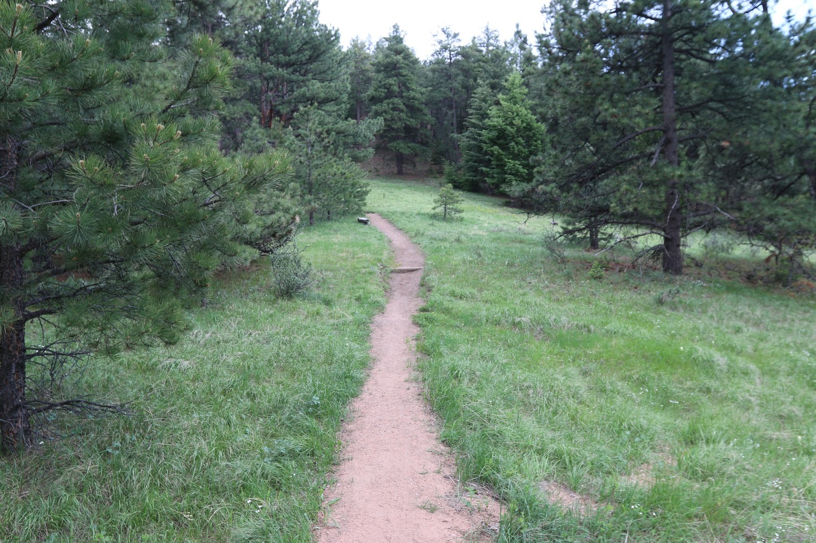 Mount Falcon Park (10)