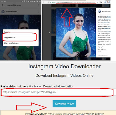 cara download atau simpan foto/video instagram