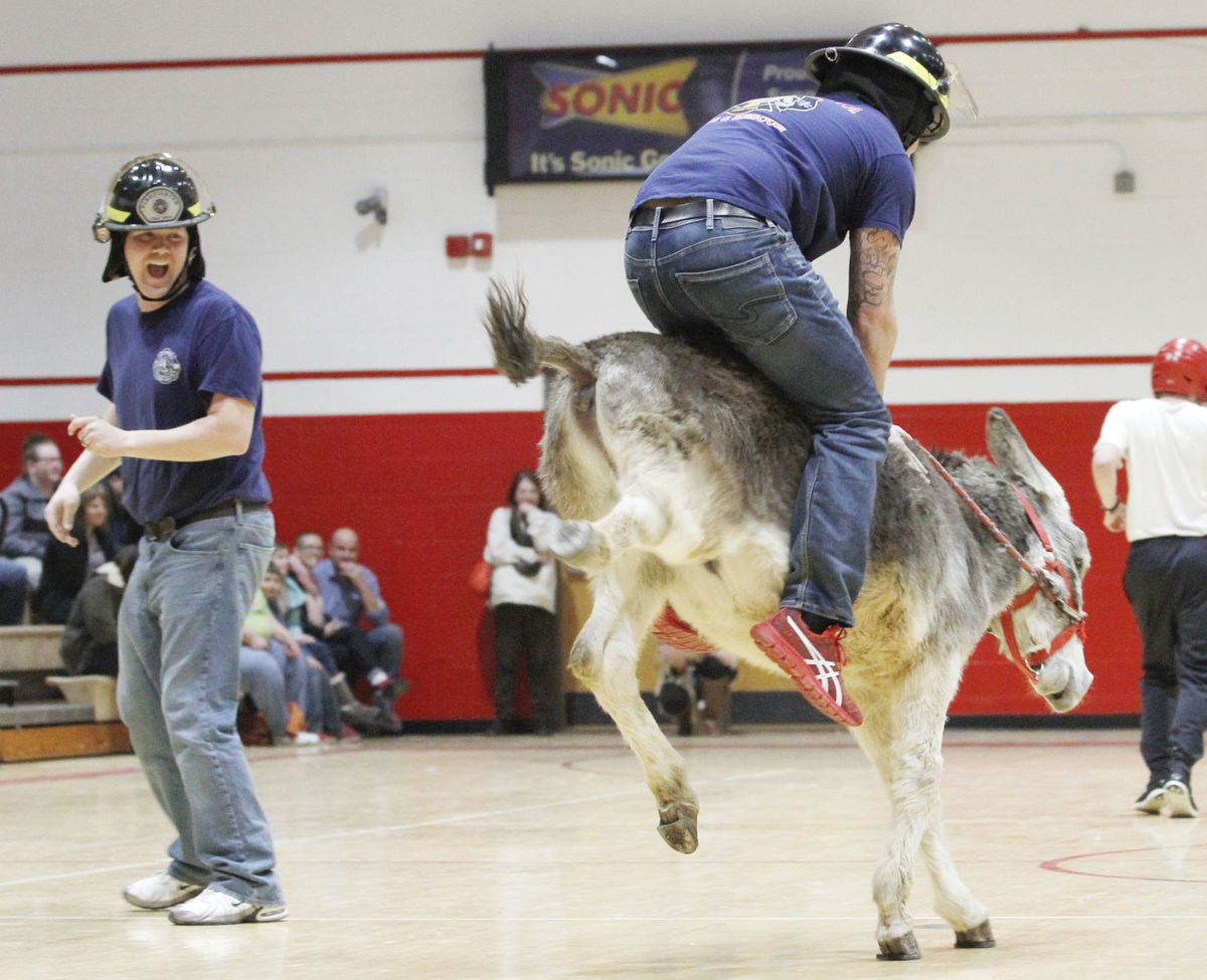 Foghorn Farm Donkey Training The Abusive Sport of Donkey Basketball