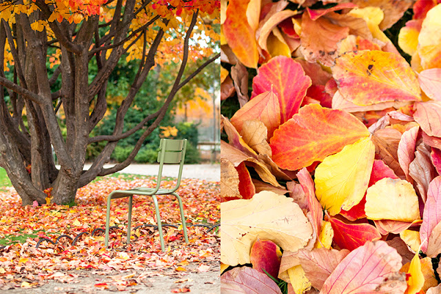 otoño, automne, travel, emociones, gataflamenca, inspiration