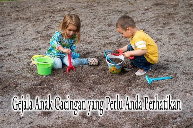 Gejala Anak Cacingan yang Perlu Anda Perhatikan Cacingan kebanyakan menyerang anak – anak yang mana belum paham tentang pentingnya menjaga kebersihan. Cacingan menimbulkan beberapa gejala. Agar bisa mengantisipasi kemungkinan penyakit ini menyerang anak, anda harus tahu apa saja gejala anak cacingan agar jika cacingan terjadi pada anak hal tersebut dapat segera dihindari.