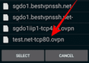 Config open VPN connect Config open VPN connect
