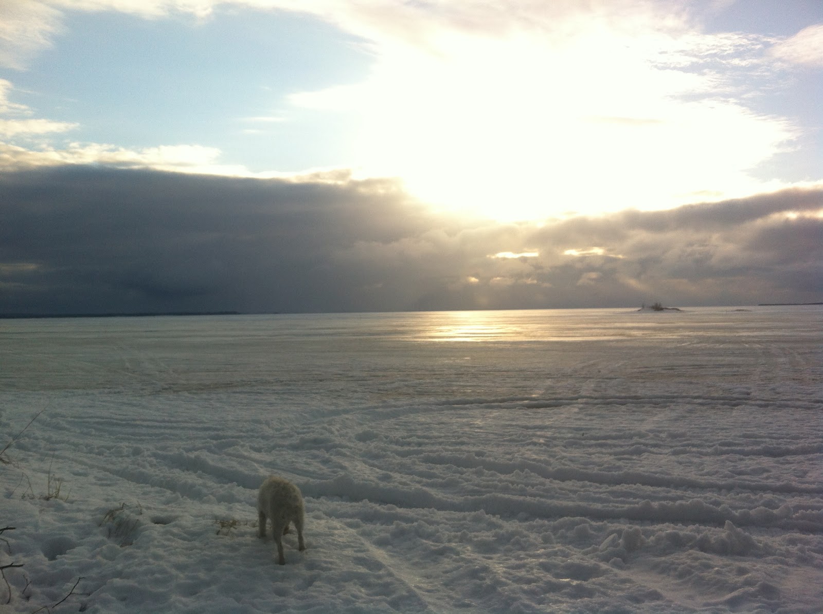 M ta s transgender journey from seeds of strength