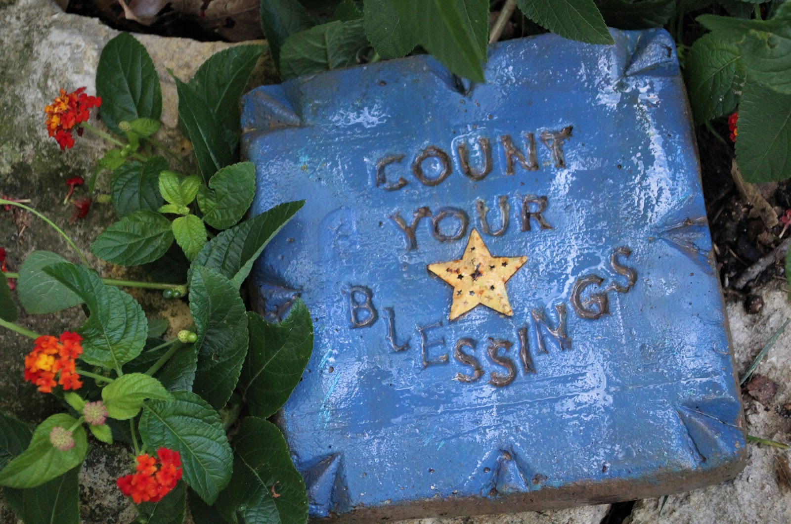 From the Summer's Garden: COUNTING YOUR BLESSINGS
