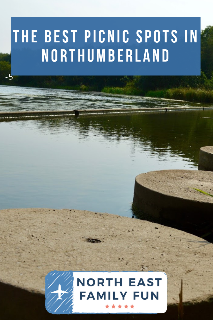The best picnic spots in Northumberland North East Family Fun