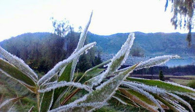 Salju Dieng Info Cuaca dan Suhu Udara Dieng 2015 http://www.wisatadiengwonosobo.com/2015/10/info-cuaca-dan-suhu-udara-di-dieng.html
