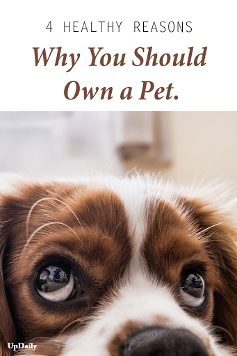  Reasons Why You Should Own a Pet  image
