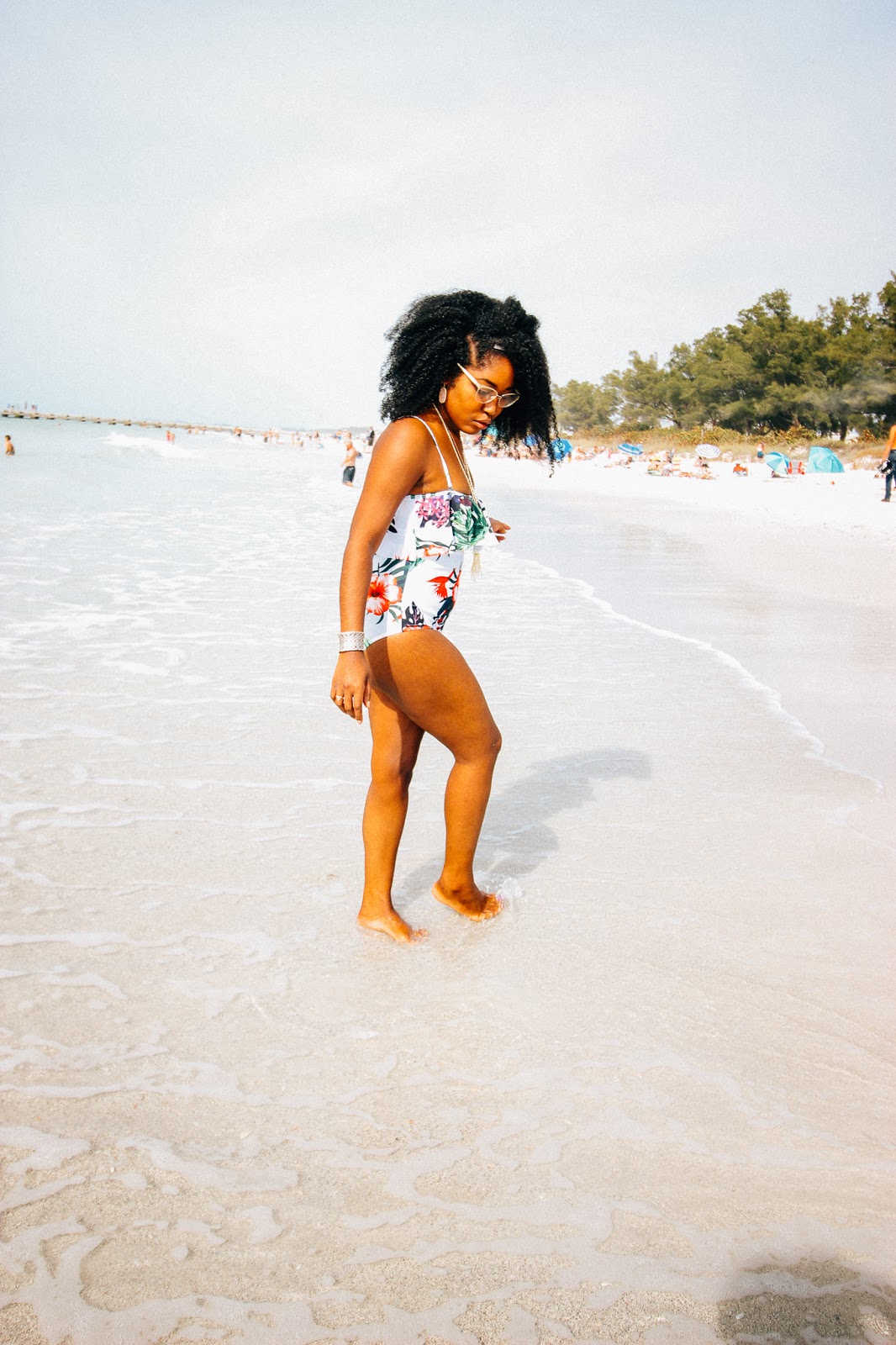 Life in the Fish bowl: Our Secret Beach at Anna Maria Island: Flower