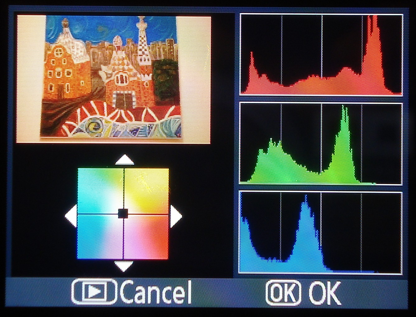 Nikon D40 Tips Nikon D40 Histogram