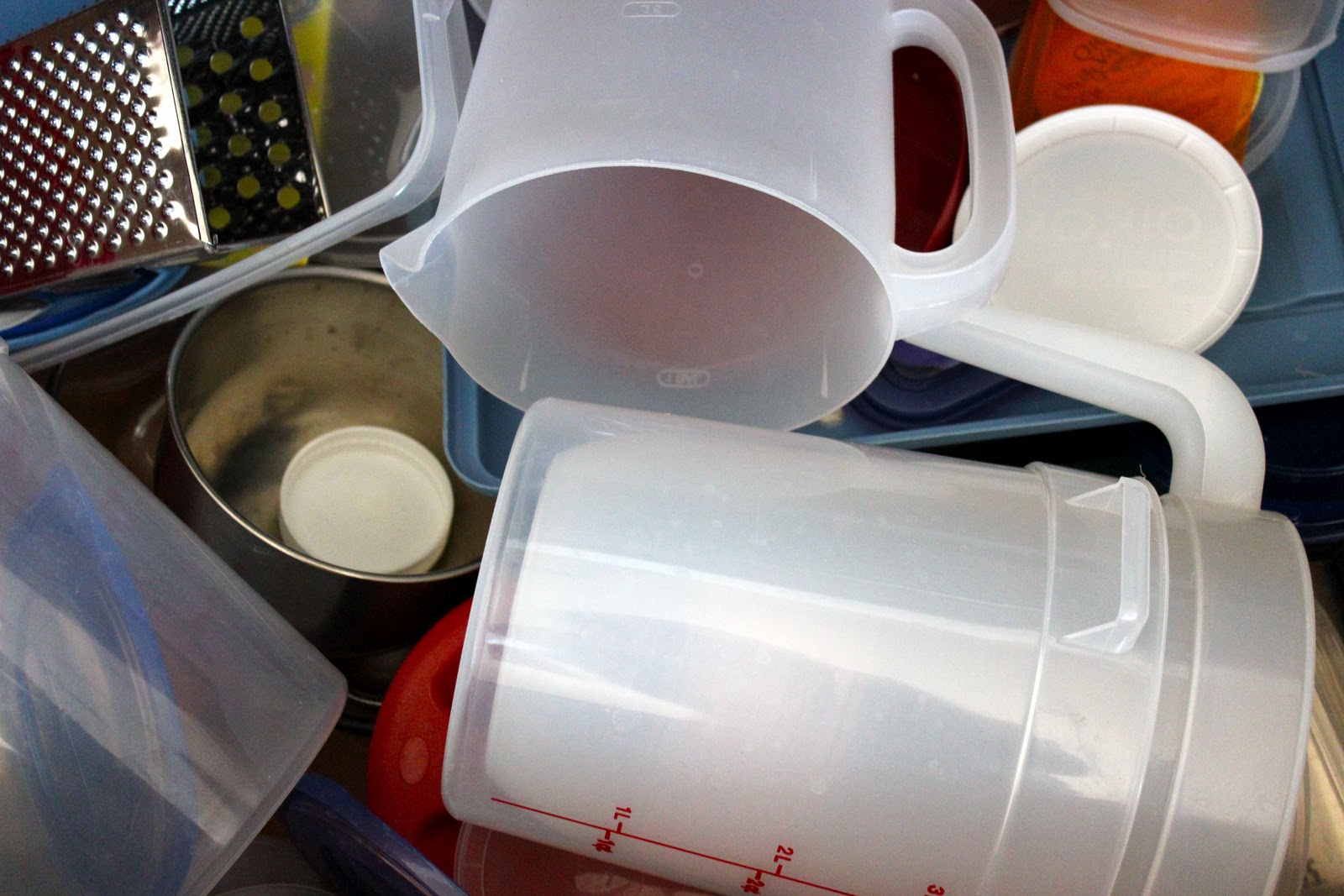 Squash Blossom Farm Drastic Plastic Project